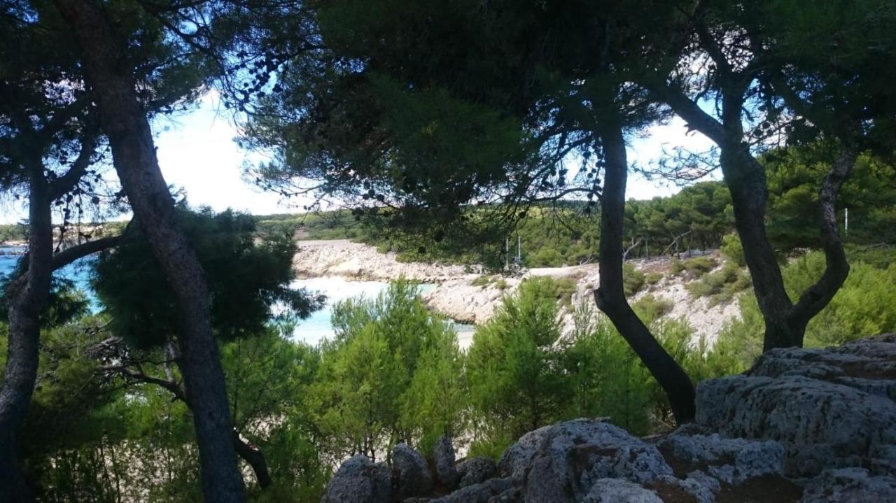 Appartement Vue Mer Le Chant Des Cigales Sausset-les-Pins Esterno foto